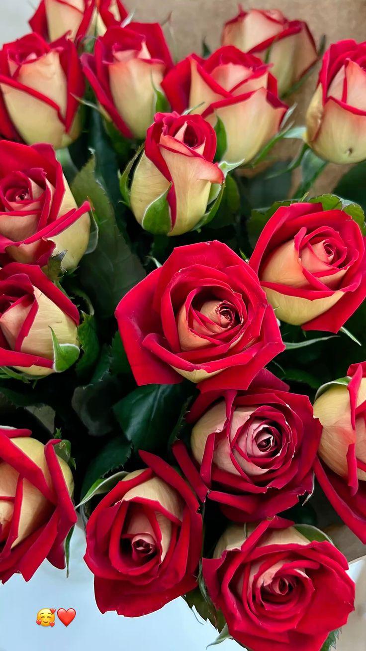 Whimsical Cascade: Playful Blossom Delight